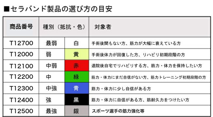 セラバンド トレーニング ゴム バンド リハビリ 筋力 関節 機能維持 可動域拡大 幅13cm 長さ合計5.4m